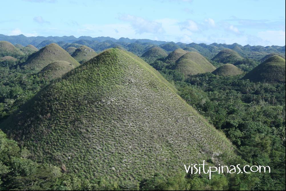 Chocolate hills in Bohol