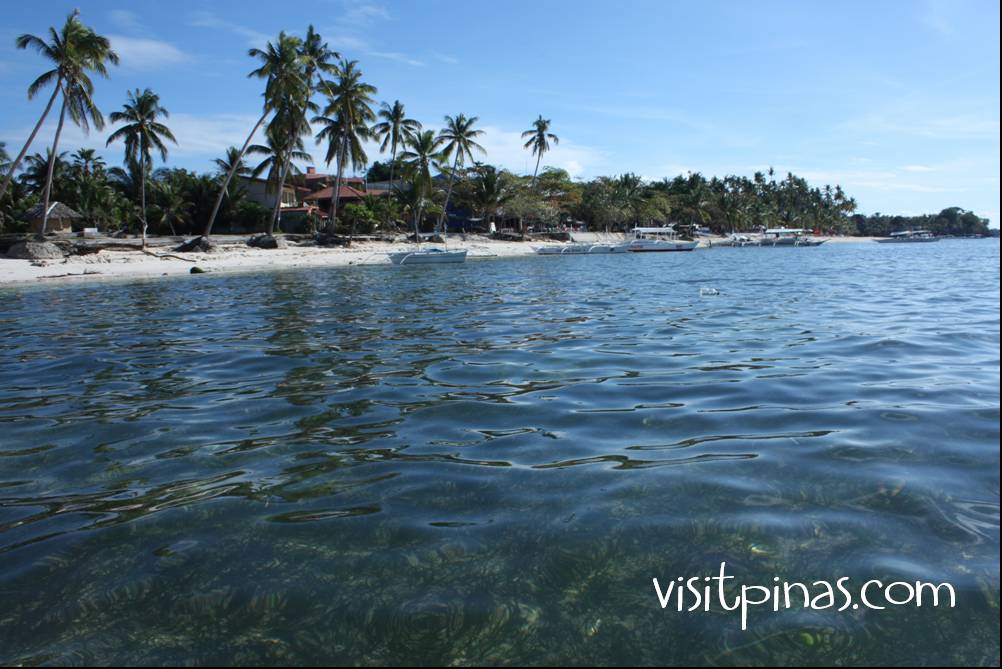 Clear waters of Panglao Island, Bohol
