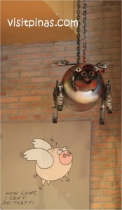 The Flying Pigs Portraits and Installation Art