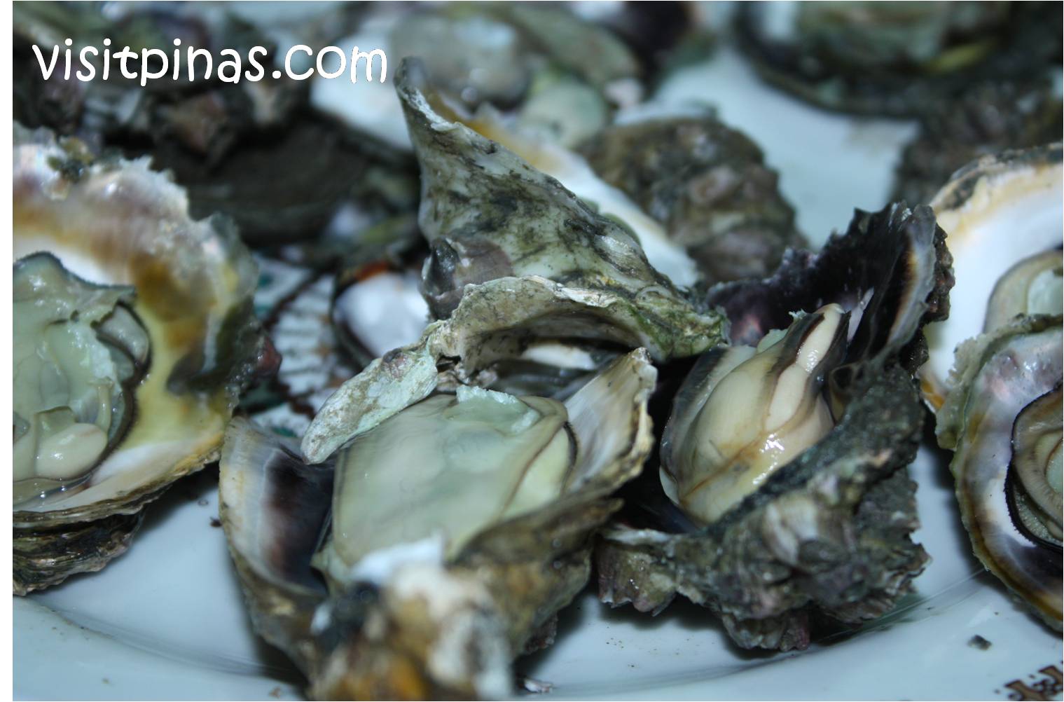 Seafood Diet for the Holy Week
