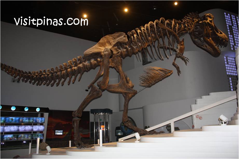 The Philippine Tyrannosaurus Rex