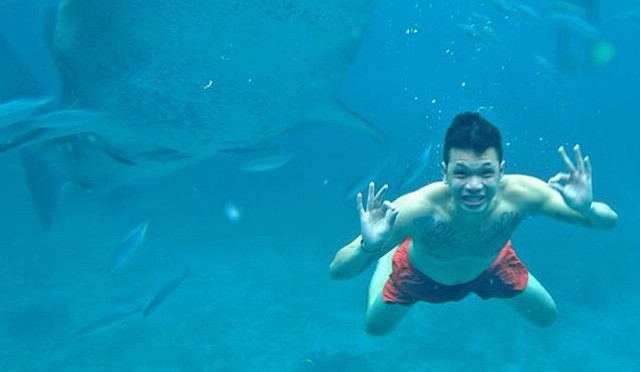 Photo of the Day: Butanding in Oslob, Cebu